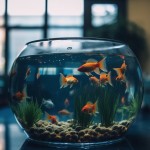7 benefícios de se ter um aquário em casa