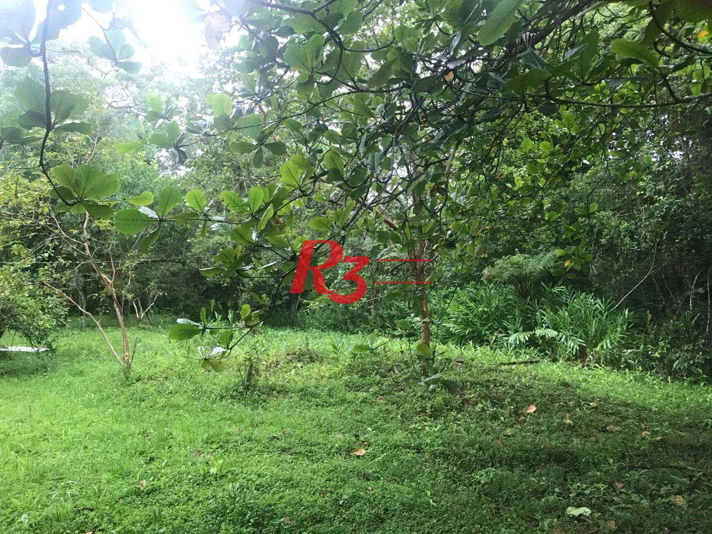 Área à venda, 20000 m² por R$ 9.000.000,00 - Monte Cabrão - Santos/SP