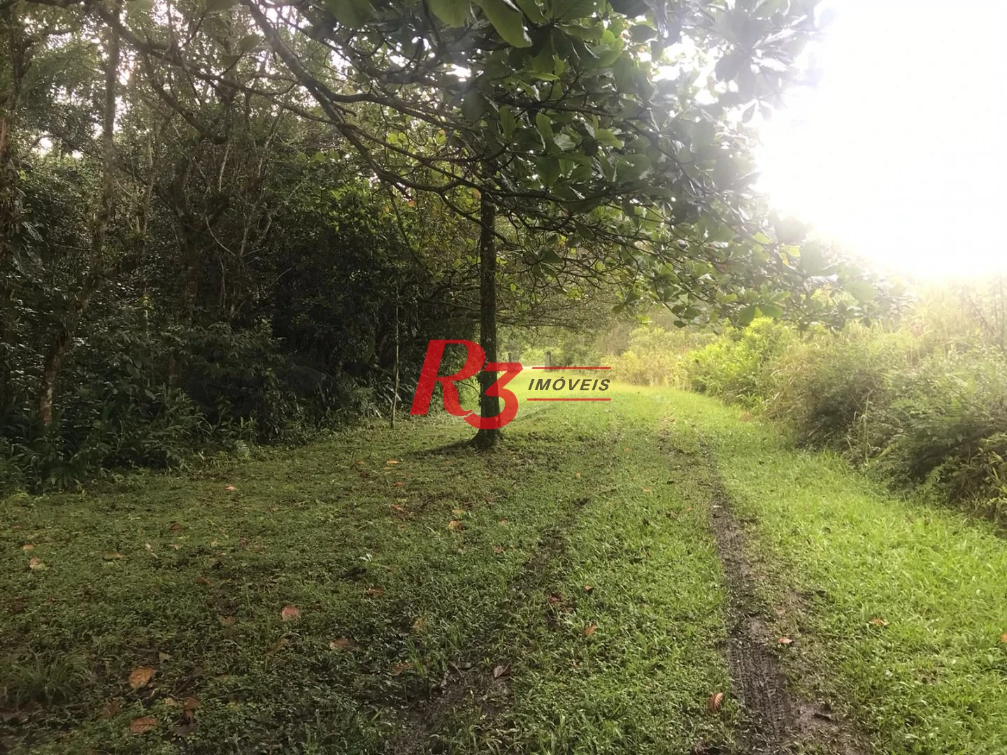 Área à venda, 20000 m² por R$ 9.000.000,00 - Monte Cabrão - Santos/SP