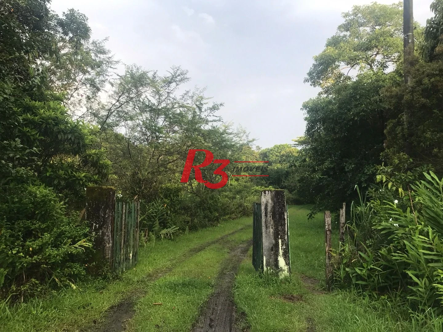 Área à venda, 20000 m² por R$ 9.000.000,00 - Monte Cabrão - Santos/SP