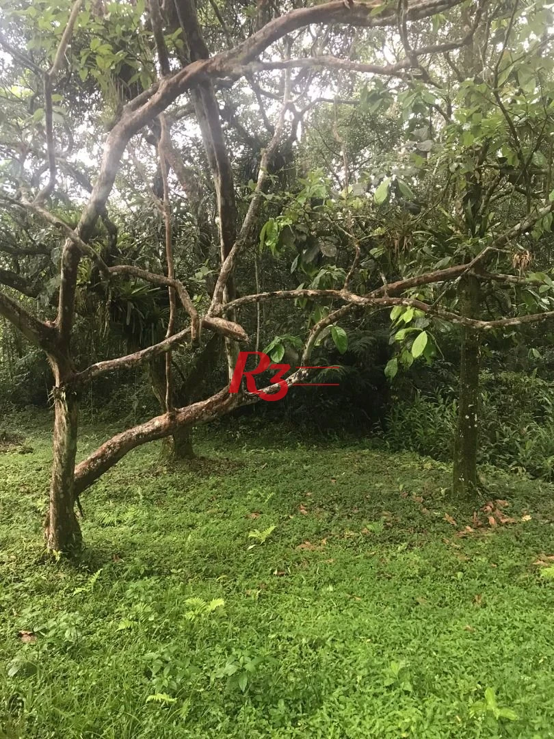Área à venda, 20000 m² por R$ 9.000.000,00 - Monte Cabrão - Santos/SP