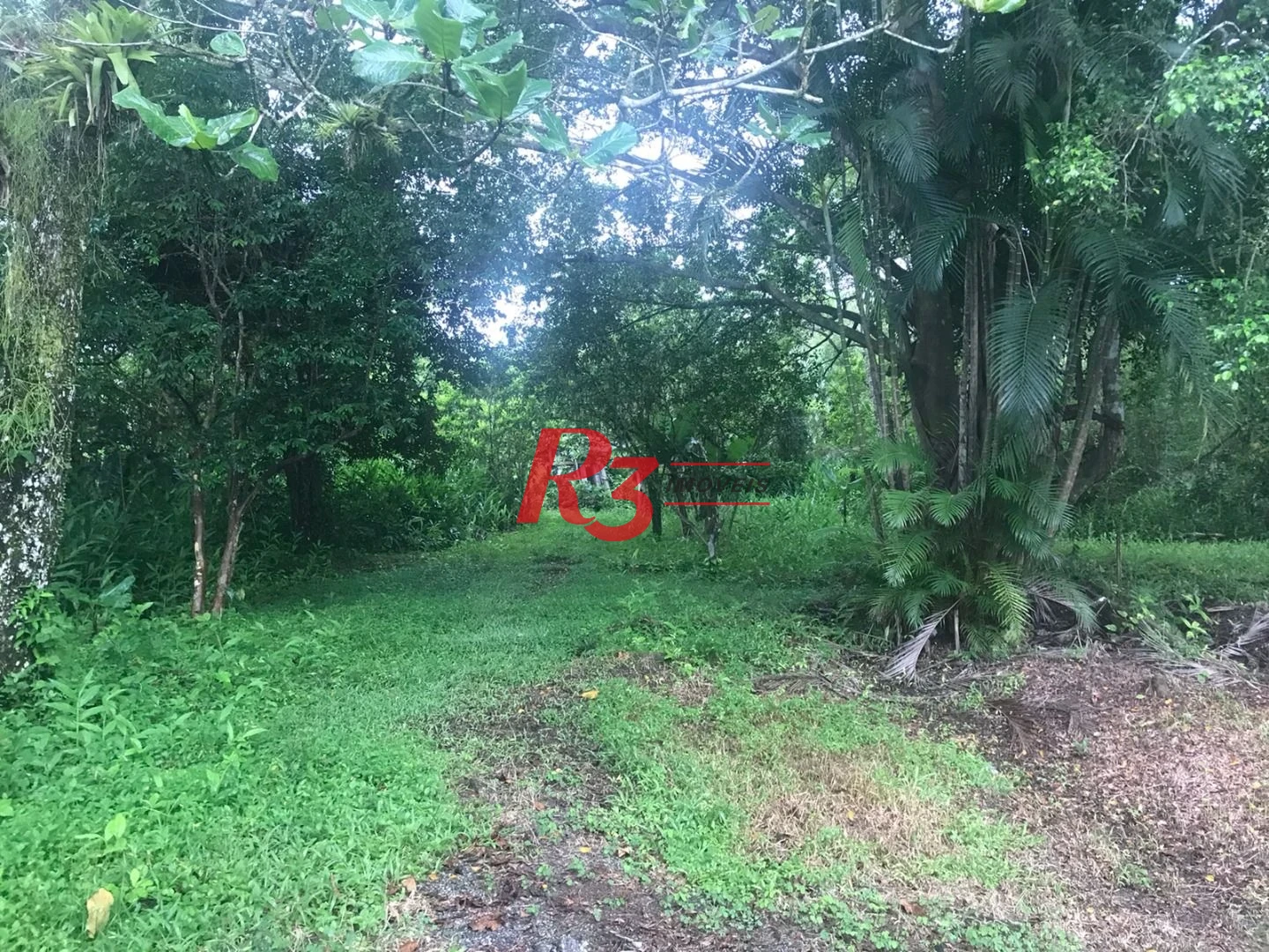 Área à venda, 20000 m² por R$ 9.000.000,00 - Monte Cabrão - Santos/SP