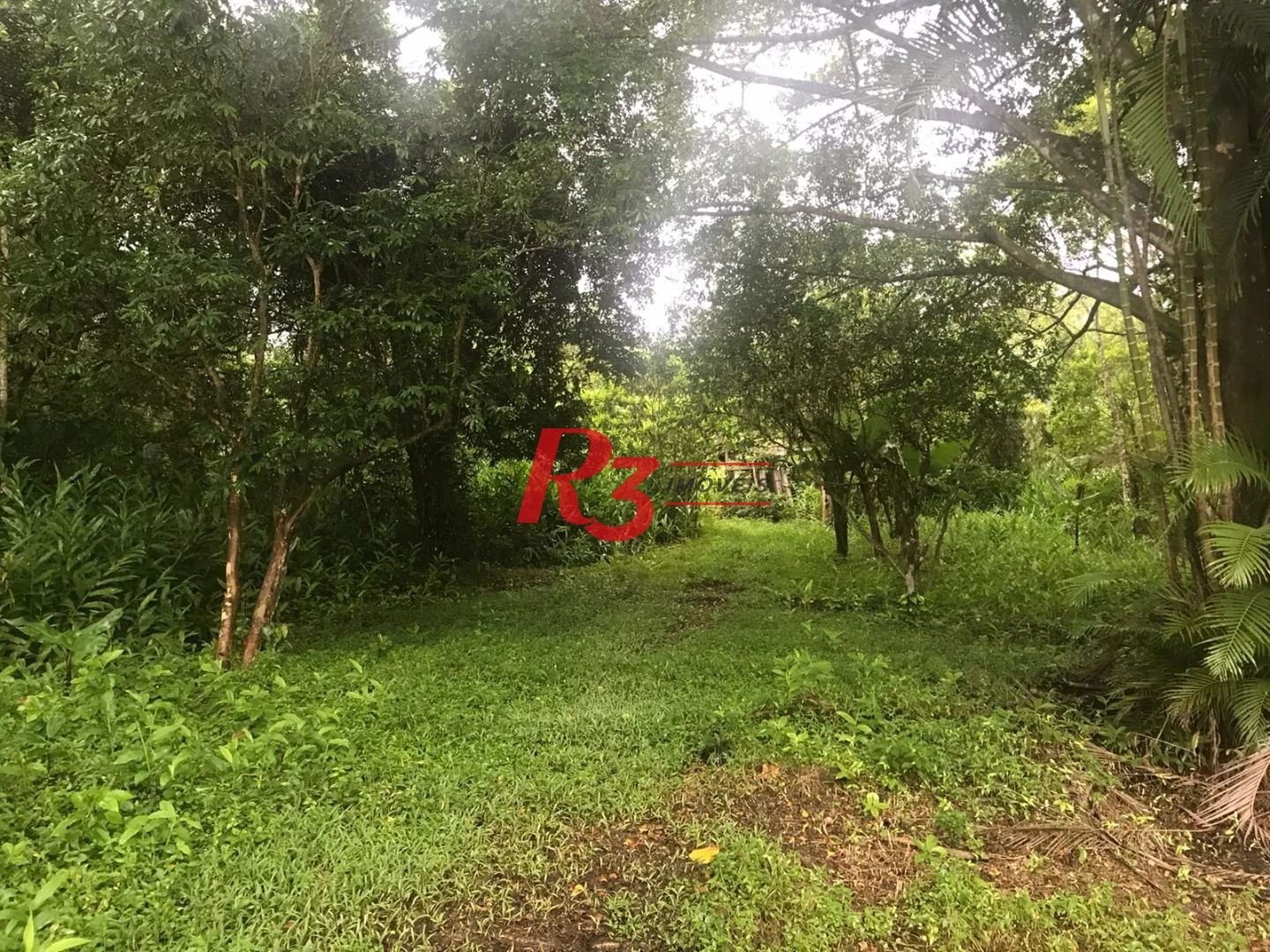 Área à venda, 20000 m² por R$ 9.000.000,00 - Monte Cabrão - Santos/SP