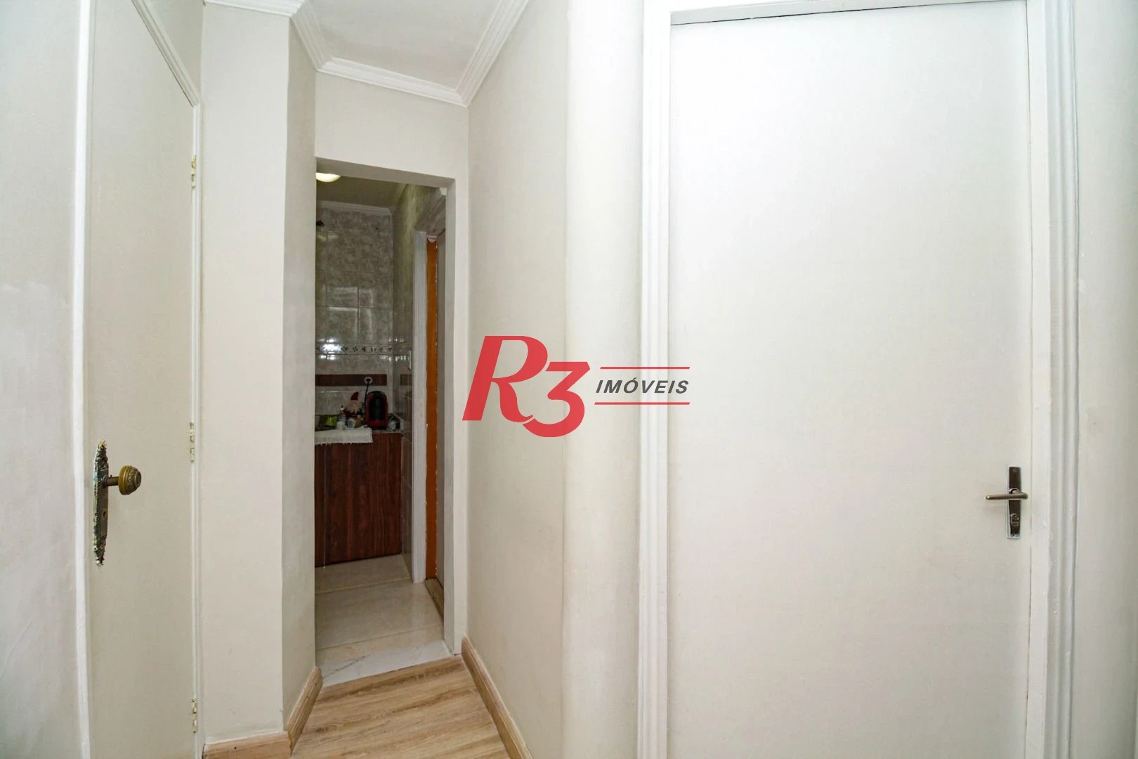 salal comercial