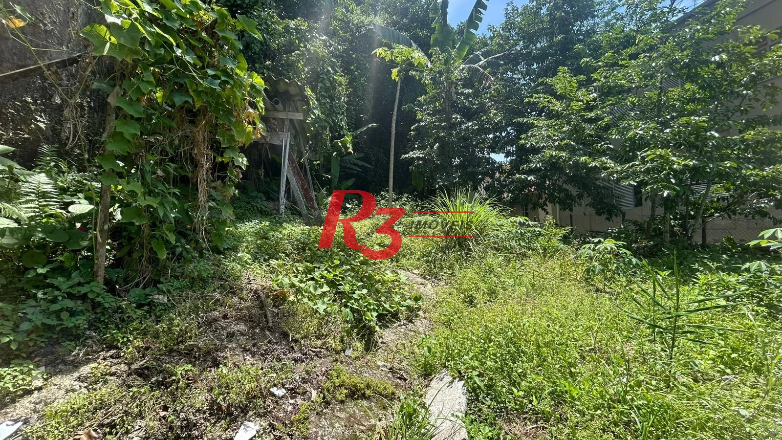 Terreno à venda, 582 m² por R$ 750.000,00 - José Menino - Santos/SP